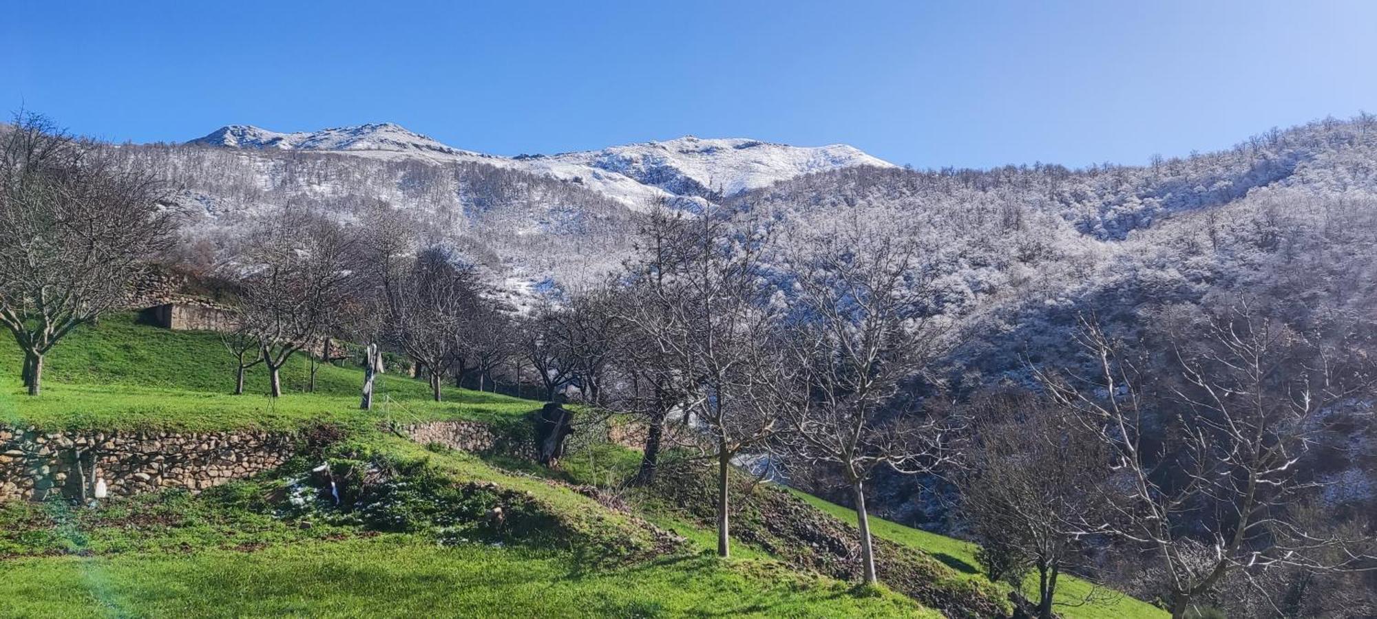 Villa Nuestra Casa De Luriezo Cabezón de Liébana Esterno foto