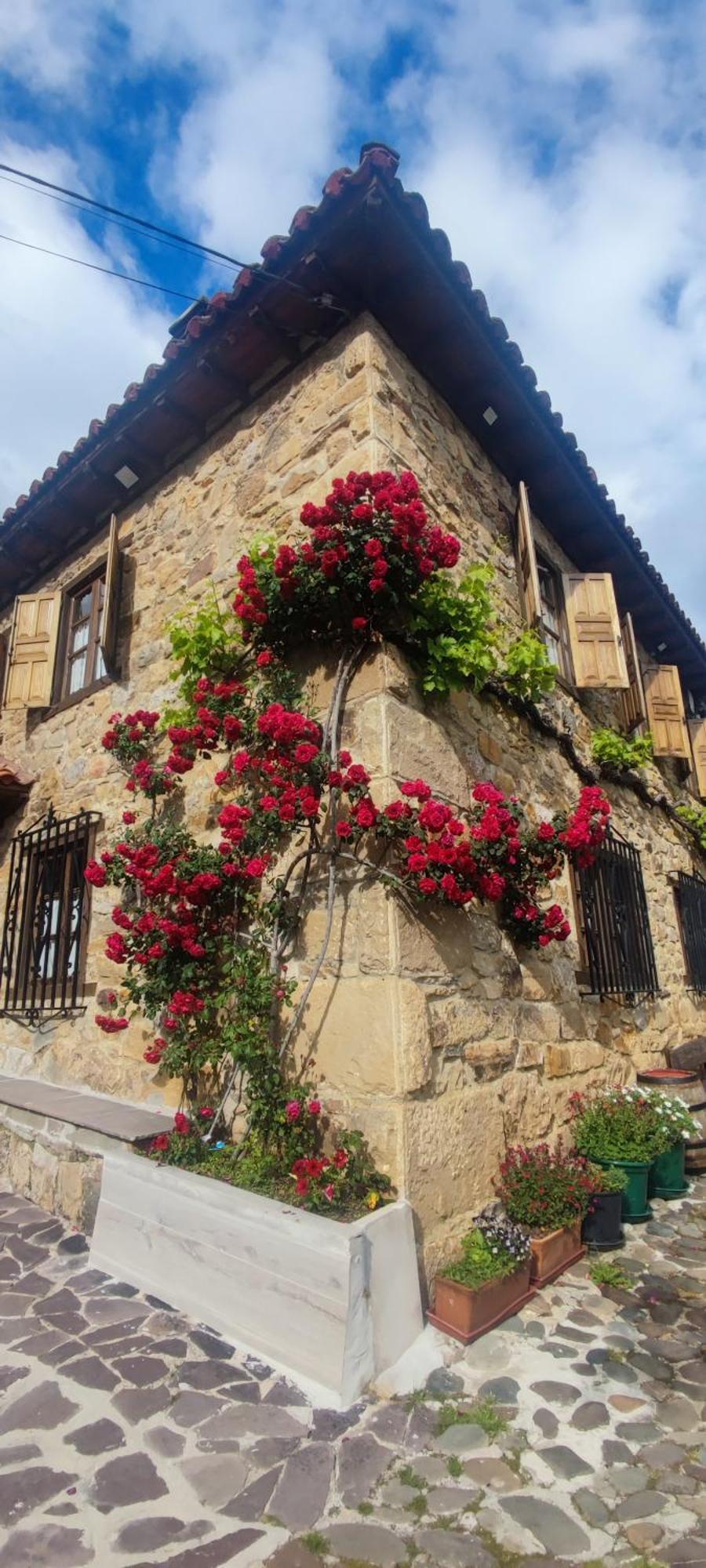 Villa Nuestra Casa De Luriezo Cabezón de Liébana Esterno foto